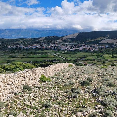 Apartments With A Parking Space Kolan, Pag - 16482 Εξωτερικό φωτογραφία